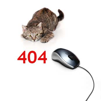 page not found